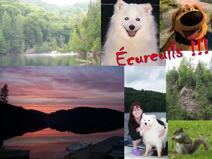 Quelques jours de dépaysement total dans les Laurentides...